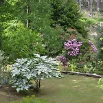 Eco-resort Parco Botanico Fiorlago Couette-café 4*