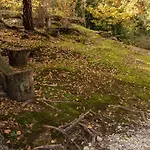 Eco-resort Parco Botanico Fiorlago Couette-café Mergozzo