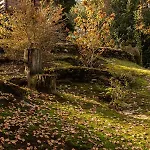 Couette-café Eco-resort Parco Botanico Fiorlago 4*