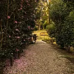 Eco-resort Parco Botanico Fiorlago Couette-café