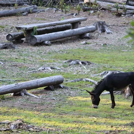 Eco-resort Parco Botanico Fiorlago 3*