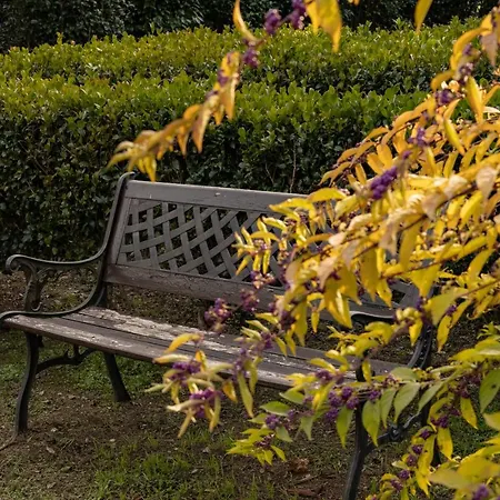 Bed & Breakfast Parco Botanico Fiorlago Mergozzo