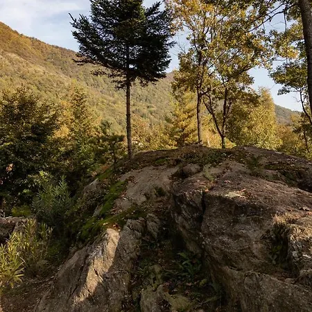 Eco-resort Parco Botanico Fiorlago 3* Mergozzo