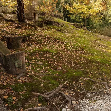 Eco-resort Parco Botanico Fiorlago Bed & Breakfast Mergozzo