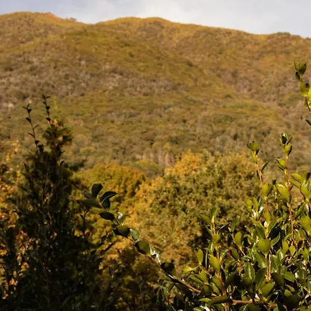 Eco-resort Parco Botanico Fiorlago 3*