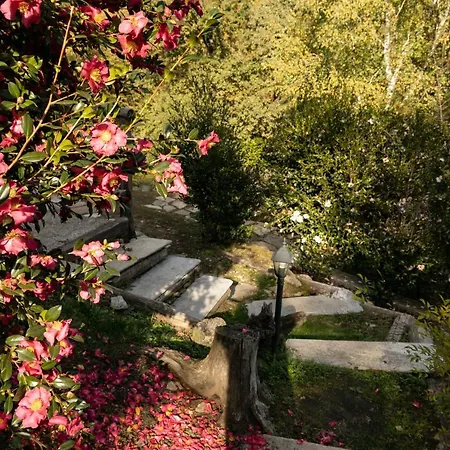 Eco-resort Parco Botanico Fiorlago 3*