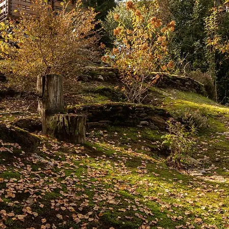 Bed & Breakfast Eco-resort Parco Botanico Fiorlago 4*