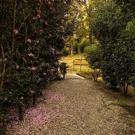 Eco-resort Parco Botanico Fiorlago Bed & Breakfast