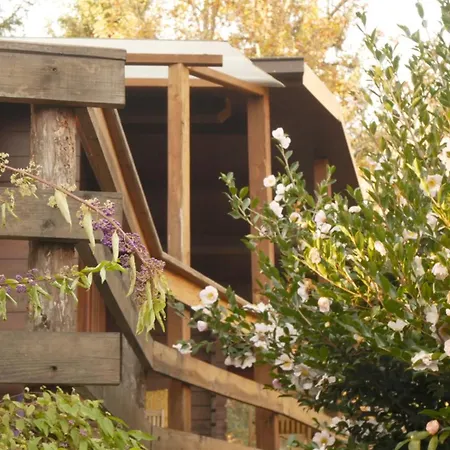 Bed & Breakfast Parco Botanico Fiorlago *