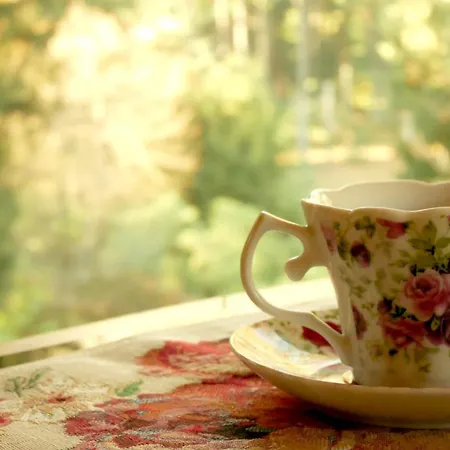 Eco-resort Parco Botanico Fiorlago Mergozzo