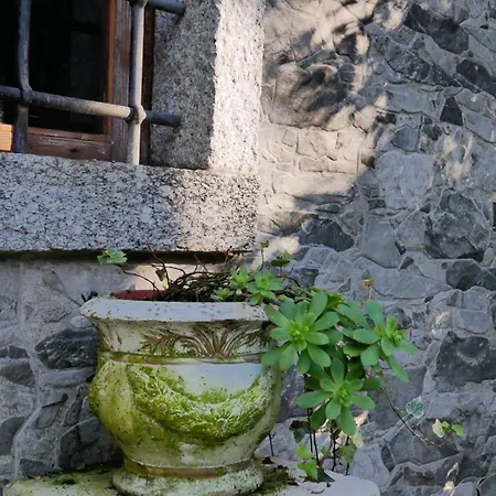 Eco-resort Parco Botanico Fiorlago Bed & Breakfast 3*