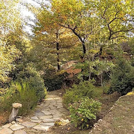 Eco-resort Parco Botanico Fiorlago 4*