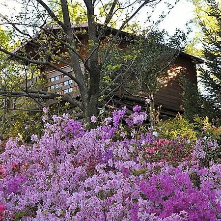 Eco-resort Parco Botanico Fiorlago 4*