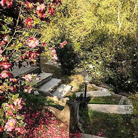 Eco-resort Parco Botanico Fiorlago Bed & Breakfast