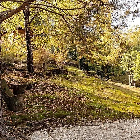 Eco-resort Parco Botanico Fiorlago 4* Mergozzo