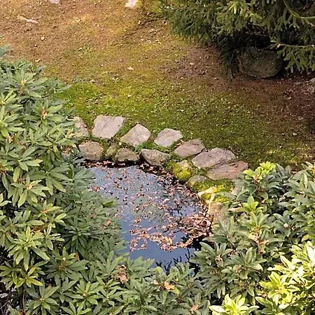 Bed & Breakfast Eco-resort Parco Botanico Fiorlago