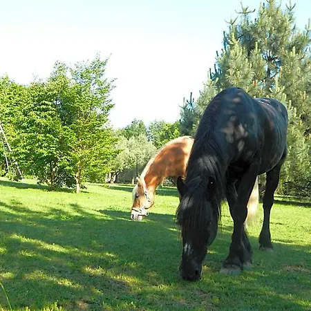 Eco-resort Parco Botanico Fiorlago