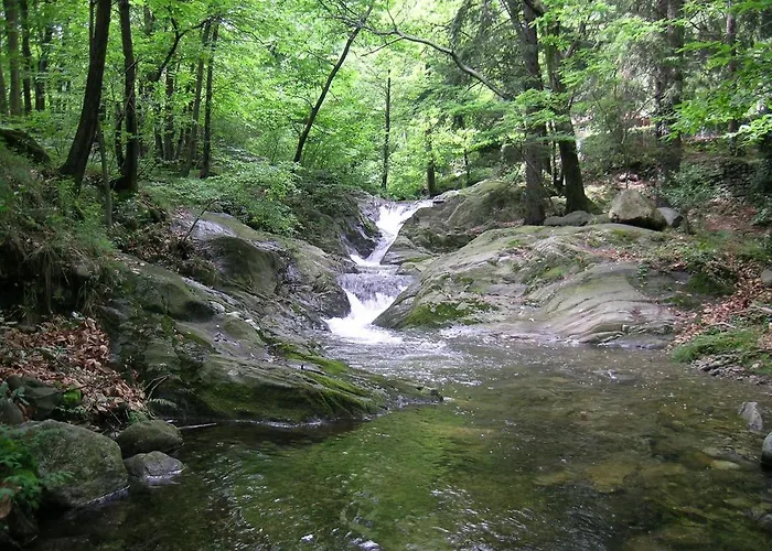 Eco-resort Parco Botanico Fiorlago Mergozzo