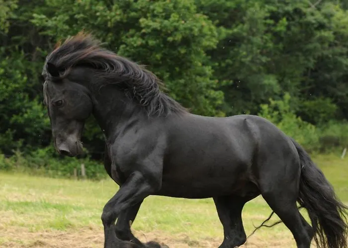 Eco-resort Parco Botanico Fiorlago