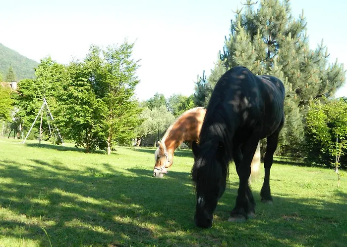 Eco-resort Parco Botanico Fiorlago 3* Mergozzo