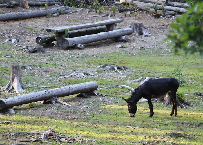 Eco-resort Parco Botanico Fiorlago 3*