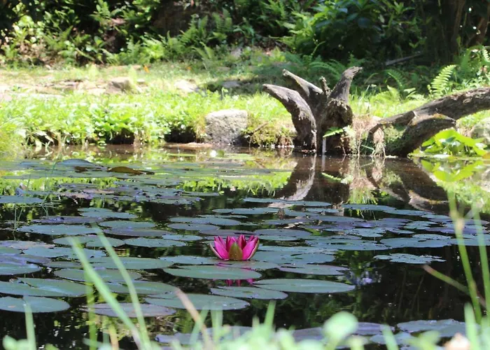 Eco-resort Parco Botanico Fiorlago Mergozzo
