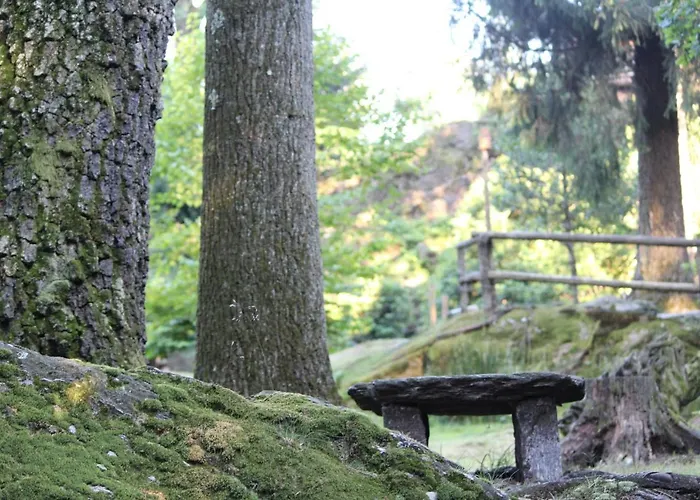 Eco-resort Parco Botanico Fiorlago Nocleg ze śniadaniem 3*