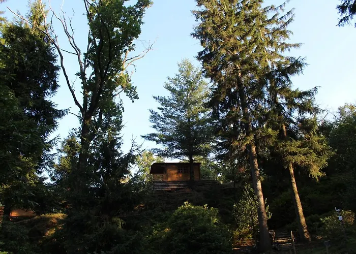 Eco-resort Parco Botanico Fiorlago 3* Mergozzo