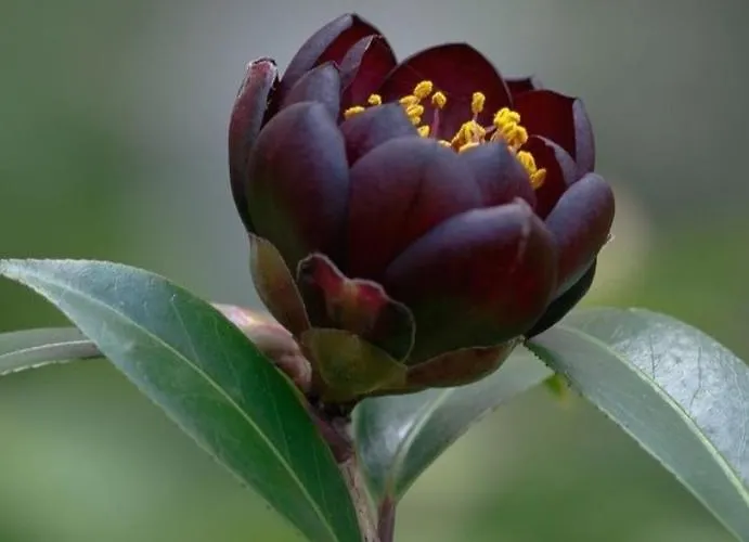 Eco-resort Parco Botanico Fiorlago Nocleg ze śniadaniem