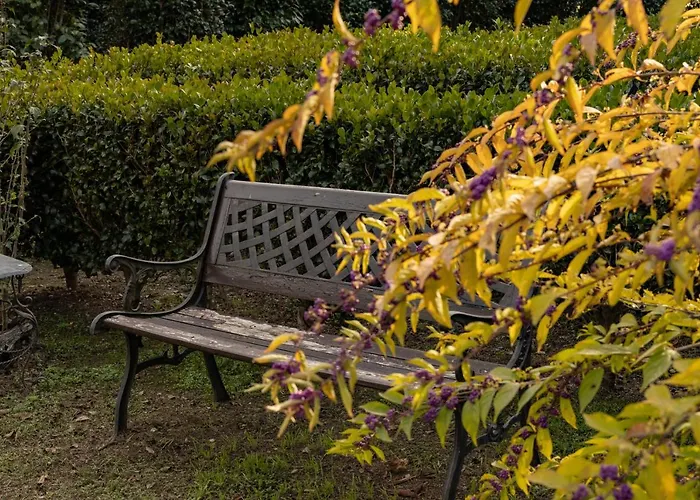 Bed and breakfast Eco-resort Parco Botanico Fiorlago Mergozzo