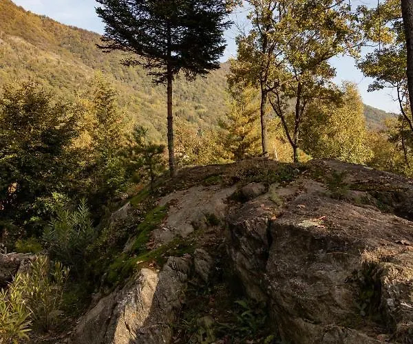 Eco-resort Parco Botanico Fiorlago 3* Mergozzo