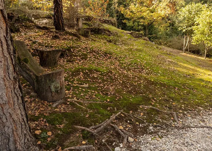 Eco-resort Parco Botanico Fiorlago Nocleg ze śniadaniem Mergozzo