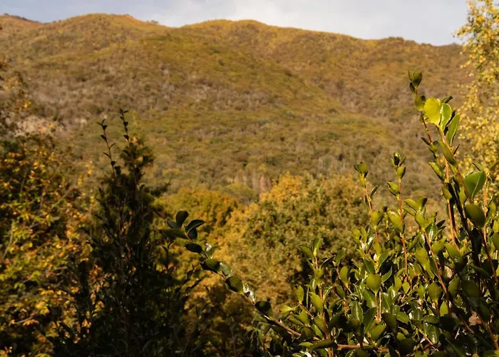 Eco-resort Parco Botanico Fiorlago 3*