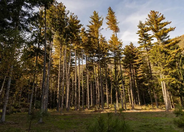 Nocleg ze śniadaniem Eco-resort Parco Botanico Fiorlago Mergozzo