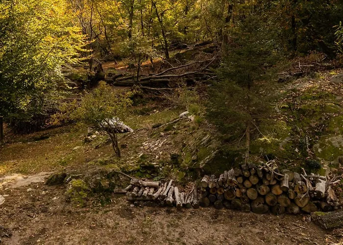 Nocleg ze śniadaniem Eco-resort Parco Botanico Fiorlago 3*