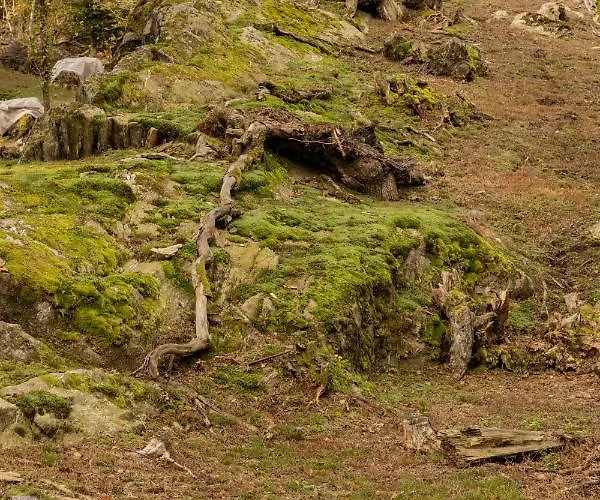 Eco-resort Parco Botanico Fiorlago