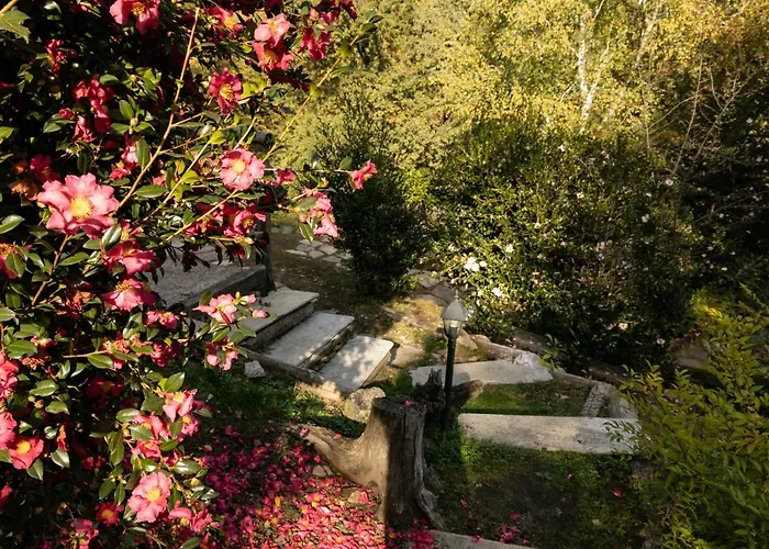 Eco-resort Parco Botanico Fiorlago 3*