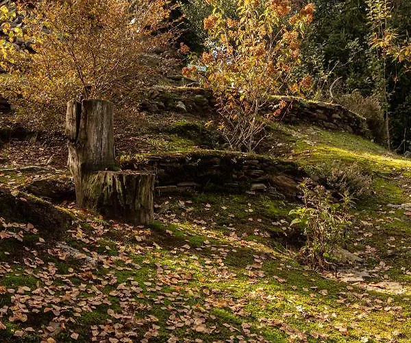 Bed and breakfast Eco-resort Parco Botanico Fiorlago 3*