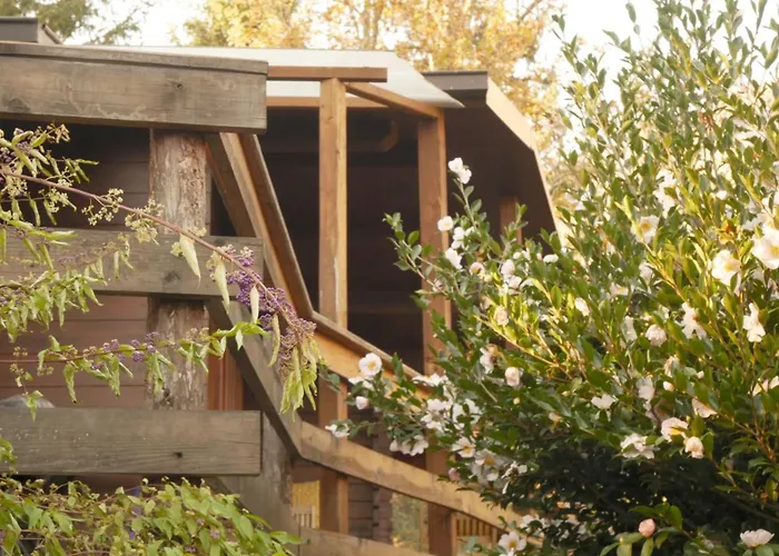 Nocleg ze śniadaniem Eco-resort Parco Botanico Fiorlago 3*